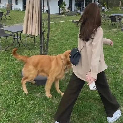 爱的面包魂